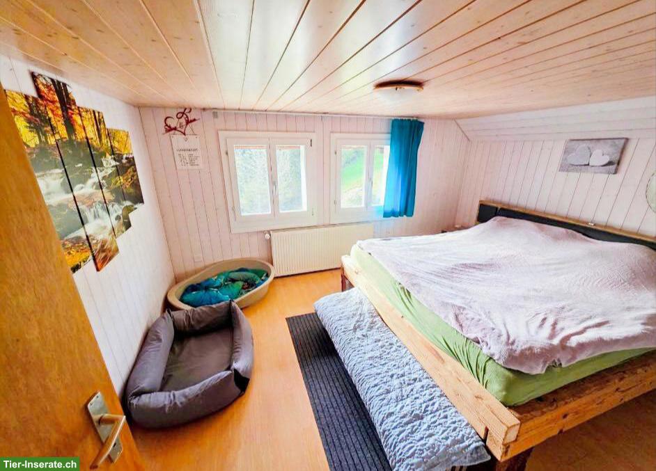 Bild 6: 4.5-Zimmer-Haushälfte mit Gartenparadies in Rüderswil