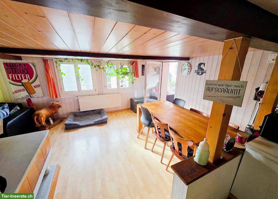 Bild 7: 4.5-Zimmer-Haushälfte mit Gartenparadies in Rüderswil