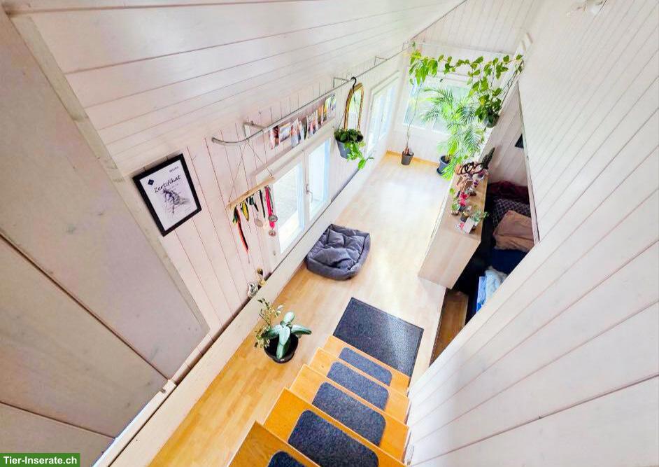 Bild 9: 4.5-Zimmer-Haushälfte mit Gartenparadies in Rüderswil