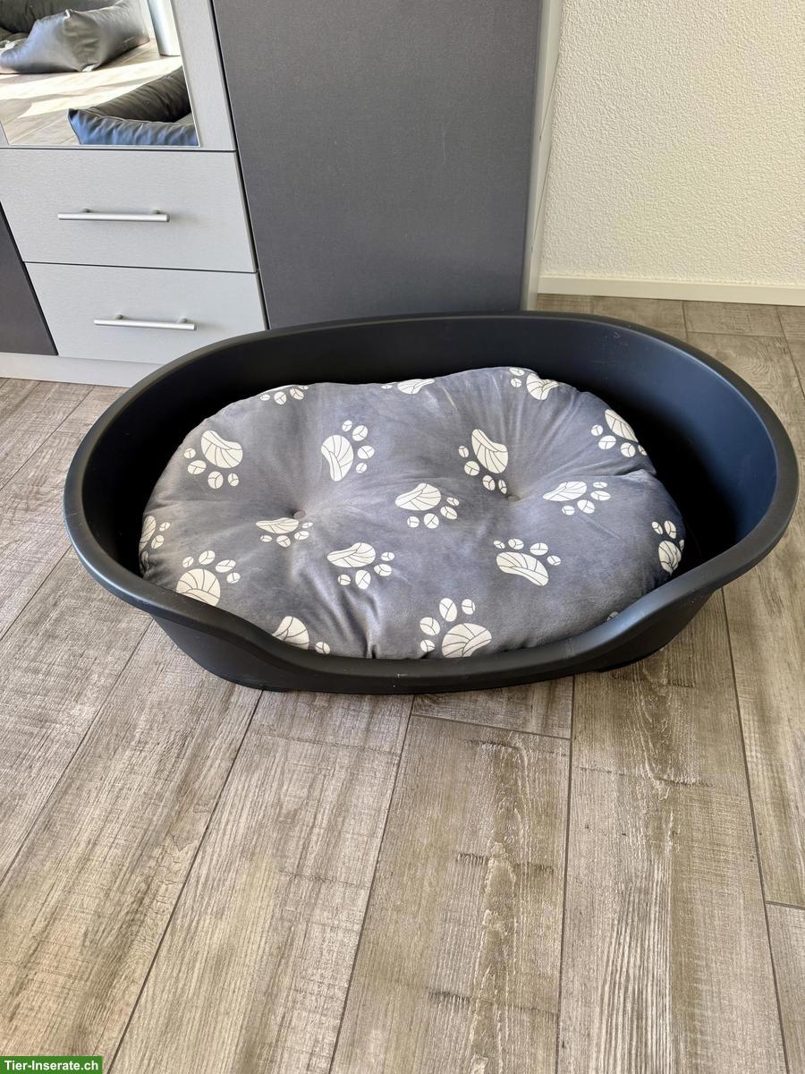2 Hundebetten gratis zur Abholung, neuwertig