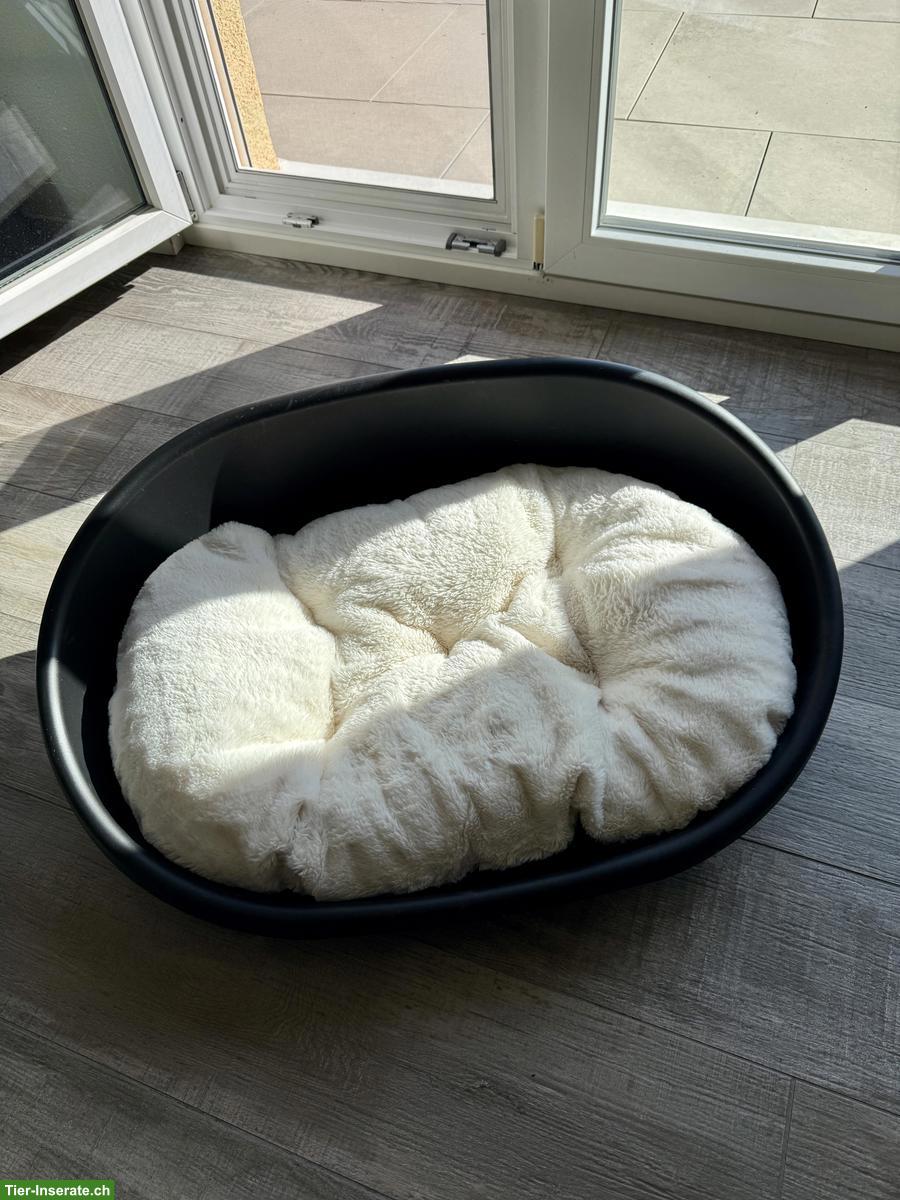 Bild 2: 2 Hundebetten gratis zur Abholung, neuwertig