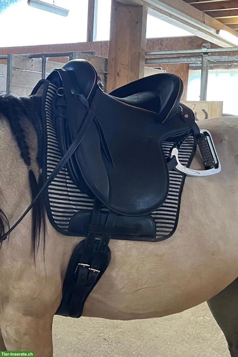 Spanischer Sattel Ludomar Alta Escuela 17.5 Zoll, neuwertig