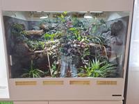 Forex Terrarium von Adrian Rieser zu verkaufen