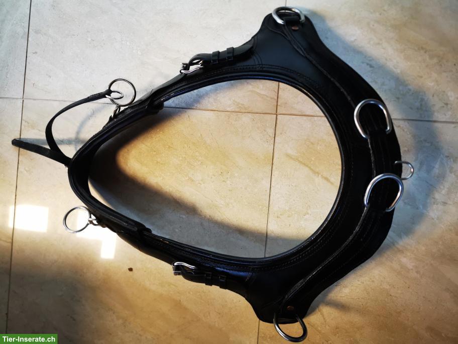 Bild 3: Volleder Geschirr mit Marathon-Kumt, hochqualitativ, neuwertig