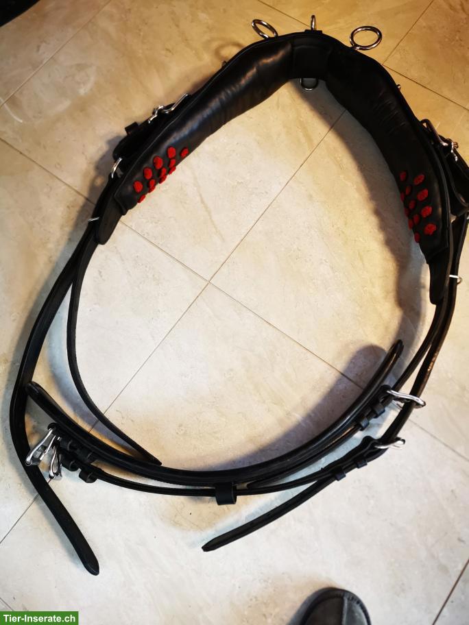 Bild 4: Volleder Geschirr mit Marathon-Kumt, hochqualitativ, neuwertig