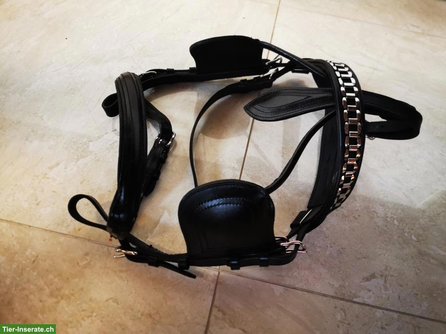 Bild 5: Volleder Geschirr mit Marathon-Kumt, hochqualitativ, neuwertig