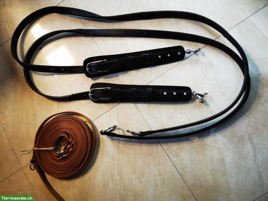 Bild 6: Volleder Geschirr mit Marathon-Kumt, hochqualitativ, neuwertig