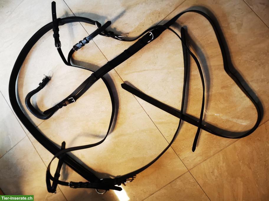 Bild 7: Volleder Geschirr mit Marathon-Kumt, hochqualitativ, neuwertig