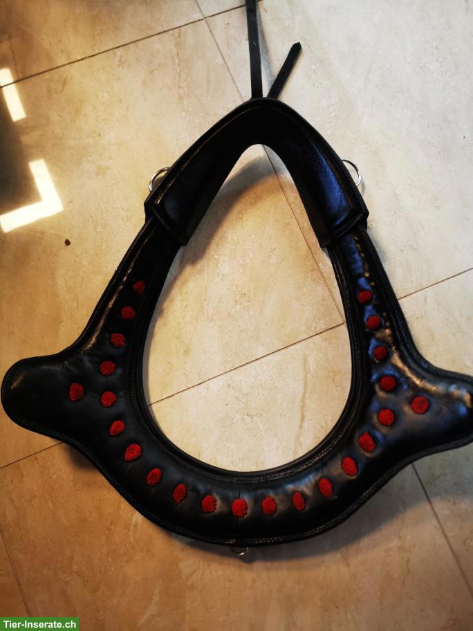 Bild 8: Volleder Geschirr mit Marathon-Kumt, hochqualitativ, neuwertig