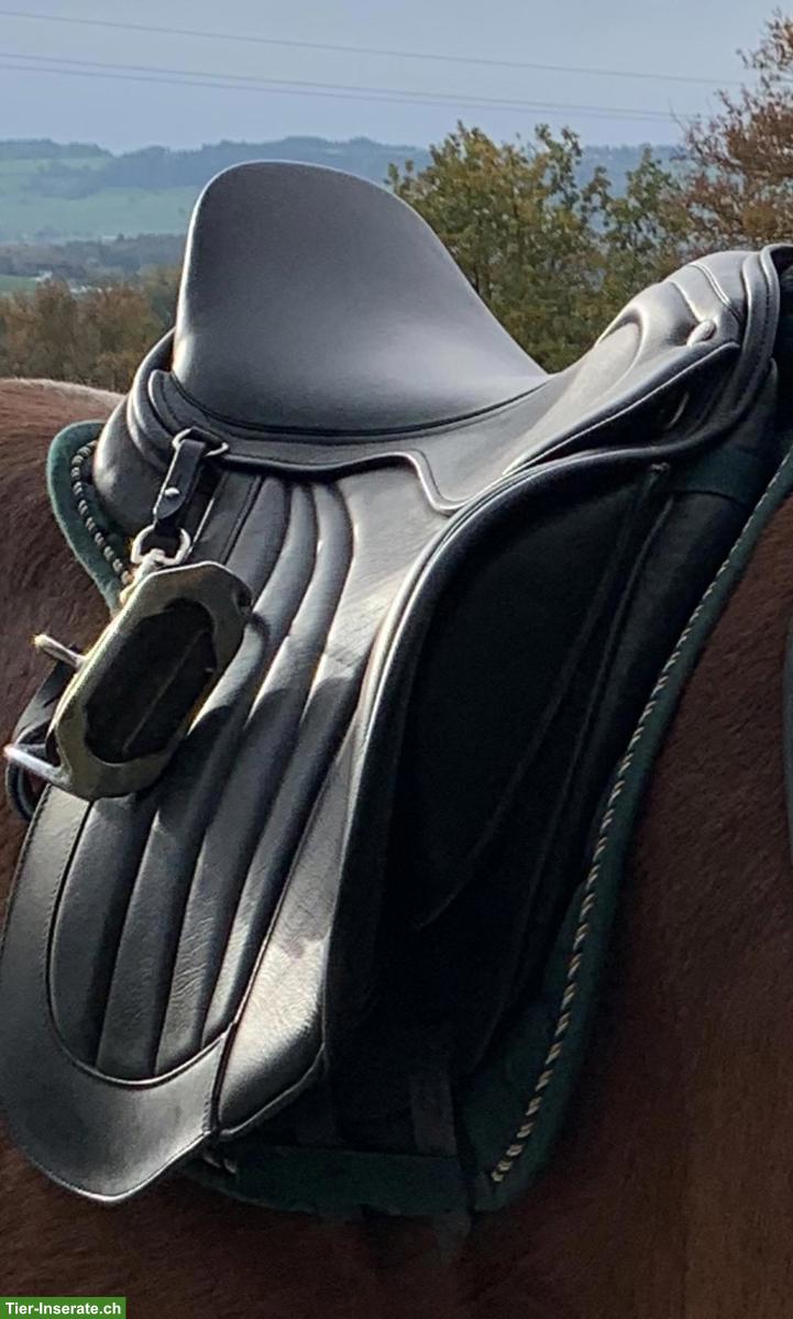 ChampionRider Sattel 17.5 Zoll zu verkaufen