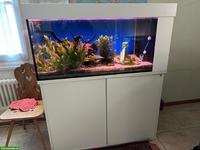 Schönes Aquarium mit Zubehör zu verkaufen