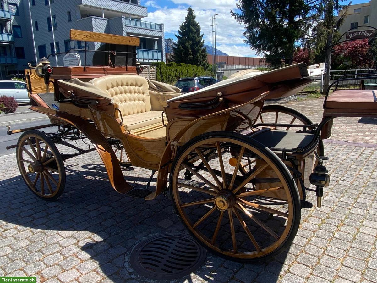 Bild 2: Dressurwagen Franc Vis‑à‑vis‑Kutsche