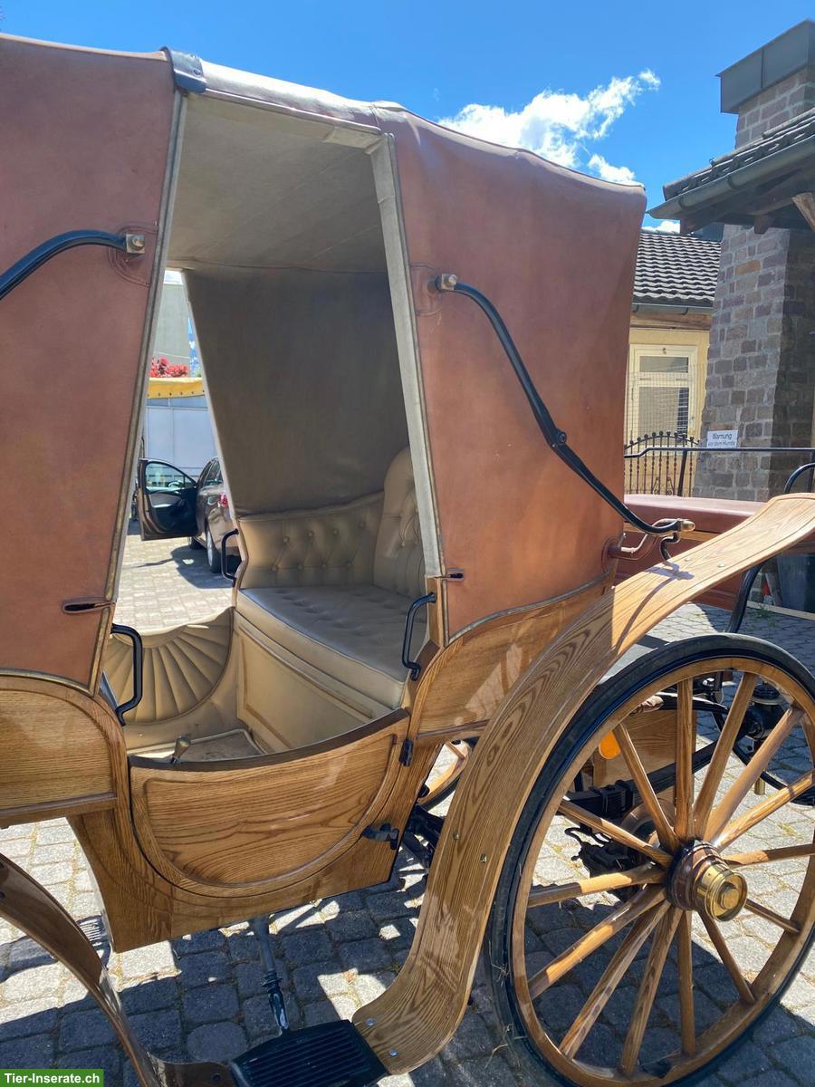 Bild 3: Dressurwagen Franc Vis‑à‑vis‑Kutsche