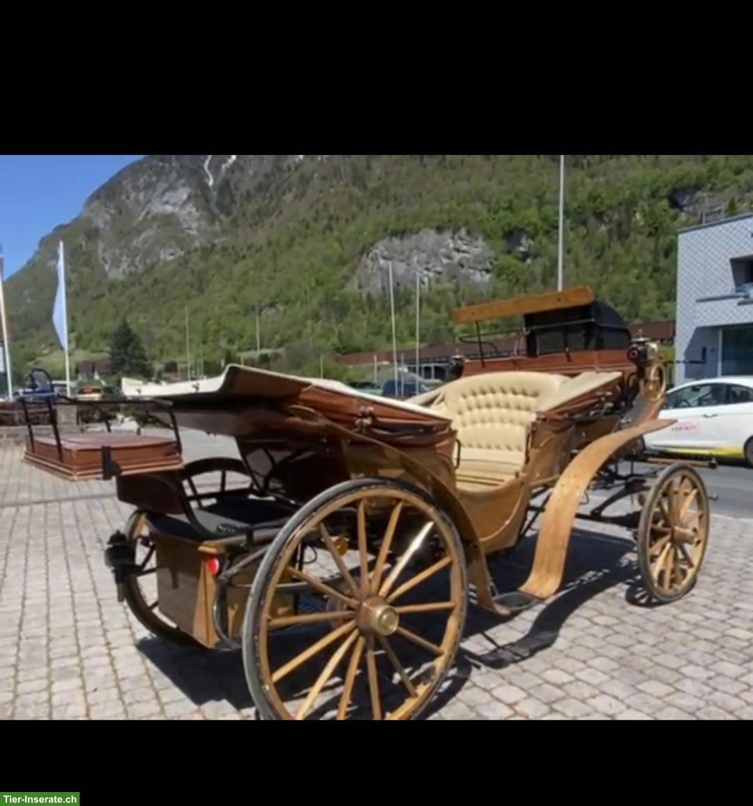 Bild 4: Dressurwagen Franc Vis‑à‑vis‑Kutsche