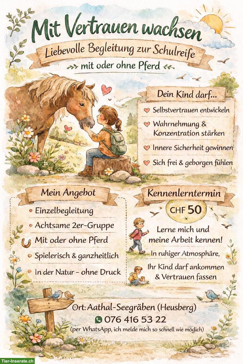 Schulreife spielerisch fördern, mit und ohne Pferd