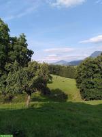 Platz frei in Offenstall