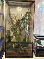 SUCHE Exo Terra Terrarium 45x45x90cm