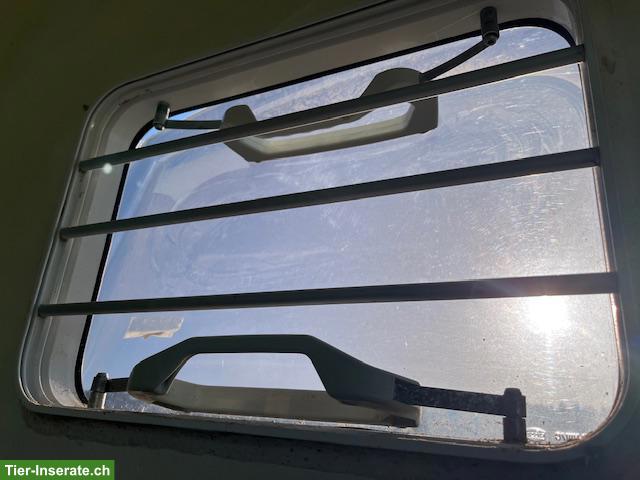 Bild 5: Pferdeanhänger HUMBAUR HP 2000 MX Xanthos