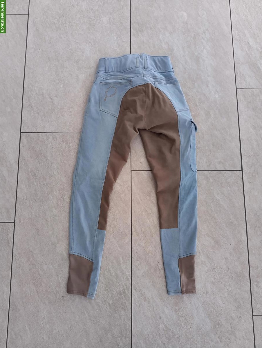 Bild 2: Jeans-Reithose, Wanderreithose, Gr. 34