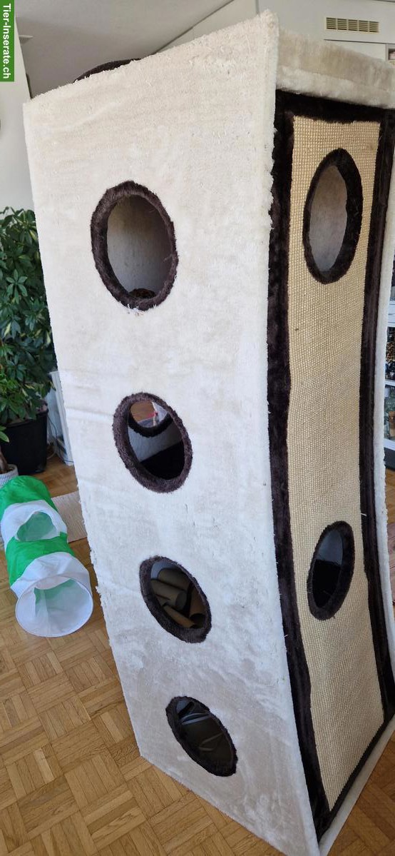 Grosse Katzentonne, gut gebraucht