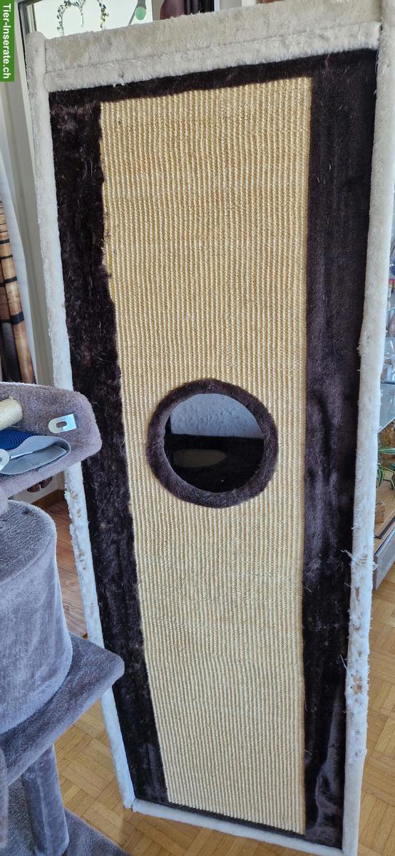 Bild 3: Grosse Katzentonne, gut gebraucht