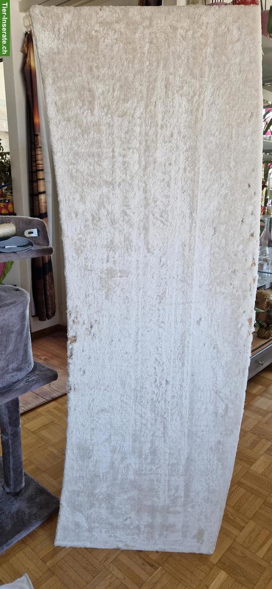 Bild 4: Grosse Katzentonne, gut gebraucht