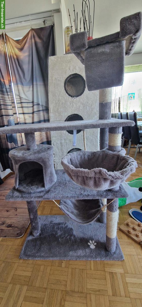 Bild 2: Katzenbaum / Kratzbaum 140cm zu verkaufen