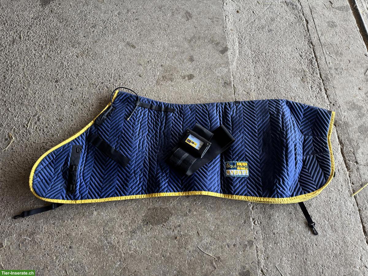 Equimag Expert Therapiedecke zu verkaufen