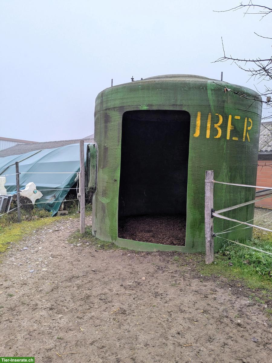 Bild 4: Selbstversorger-Offenstallplatz frei für Mini oder Shetty, Nürensdorf