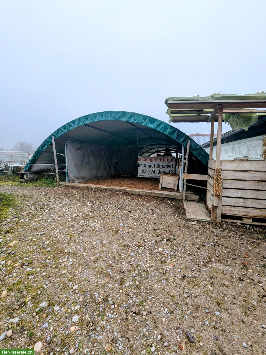 Bild 5: Selbstversorger-Offenstallplatz frei für Mini oder Shetty, Nürensdorf