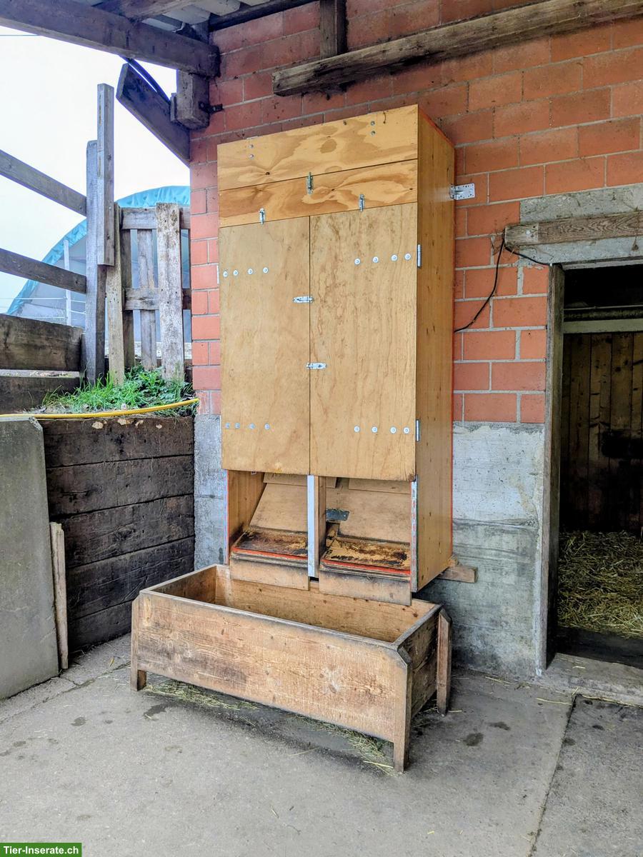 Bild 8: Selbstversorger-Offenstallplatz frei für Mini oder Shetty, Nürensdorf