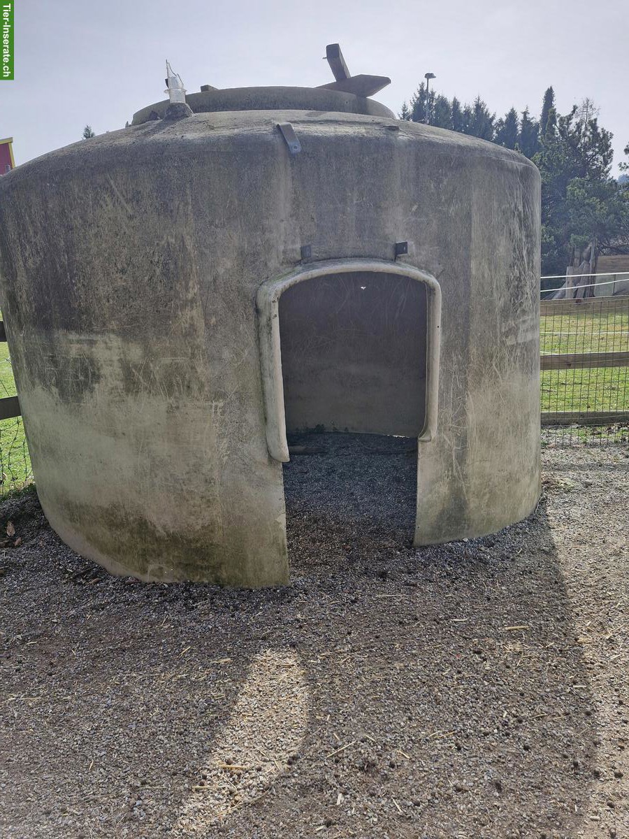 Tierunterstand GRATIS abzugeben