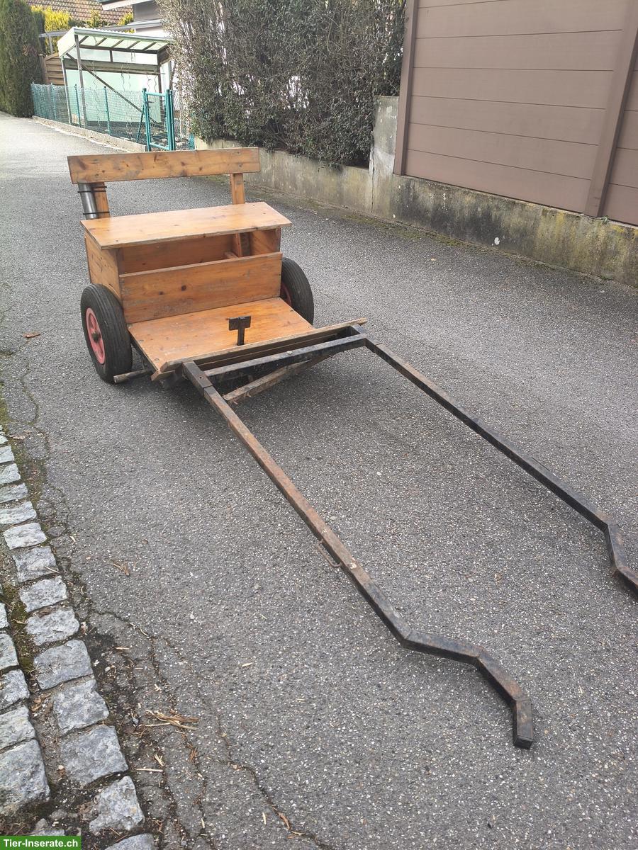 Ponykutsche / Shetty-Kutsche zu verkaufen