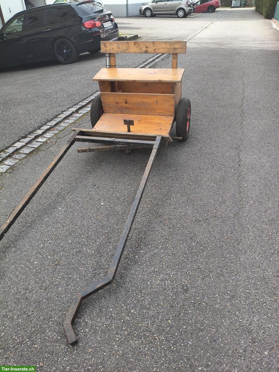 Bild 3: Ponykutsche / Shetty-Kutsche zu verkaufen