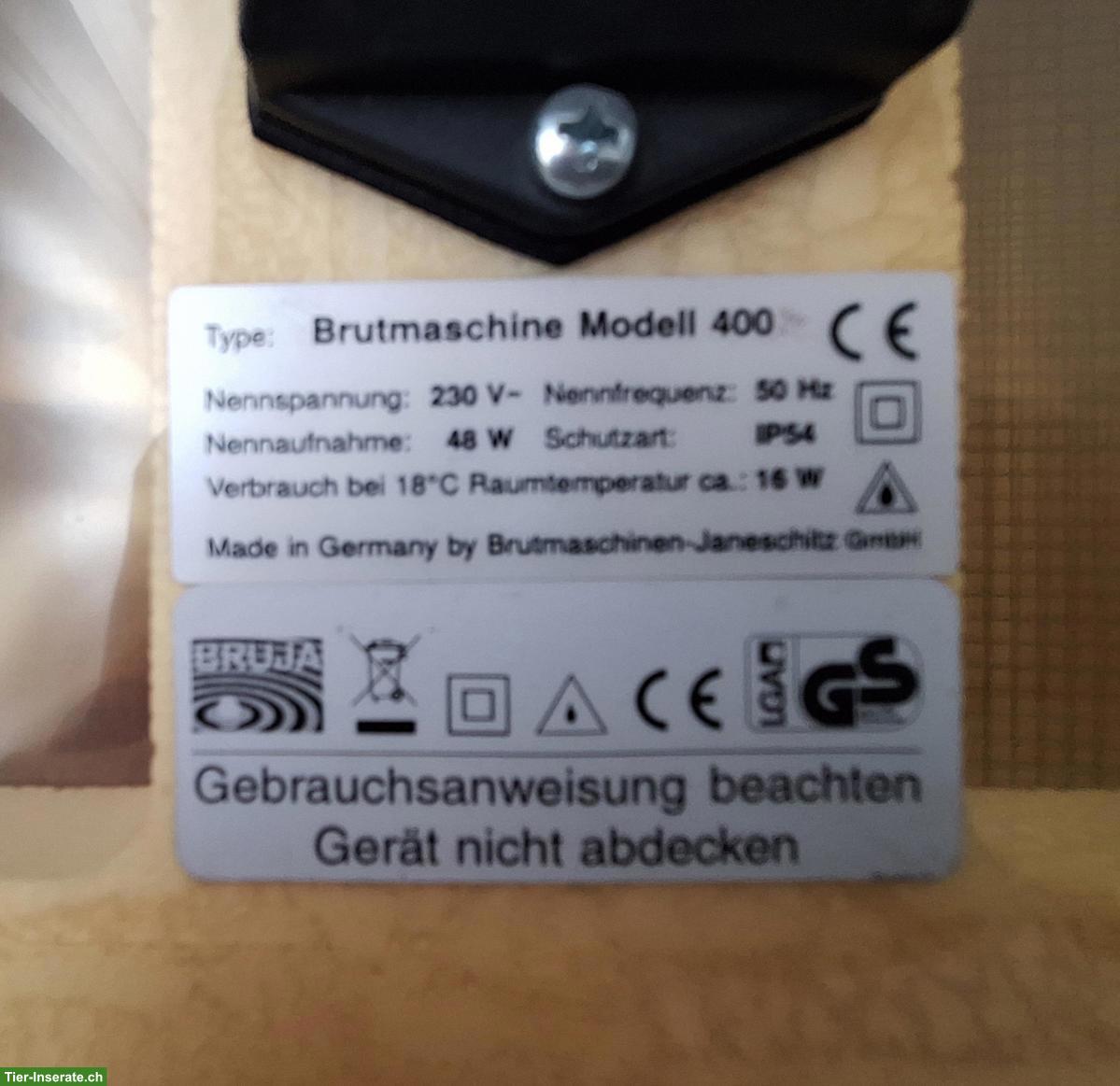 Brutmaschine / Inkubator Bruja Modell 400