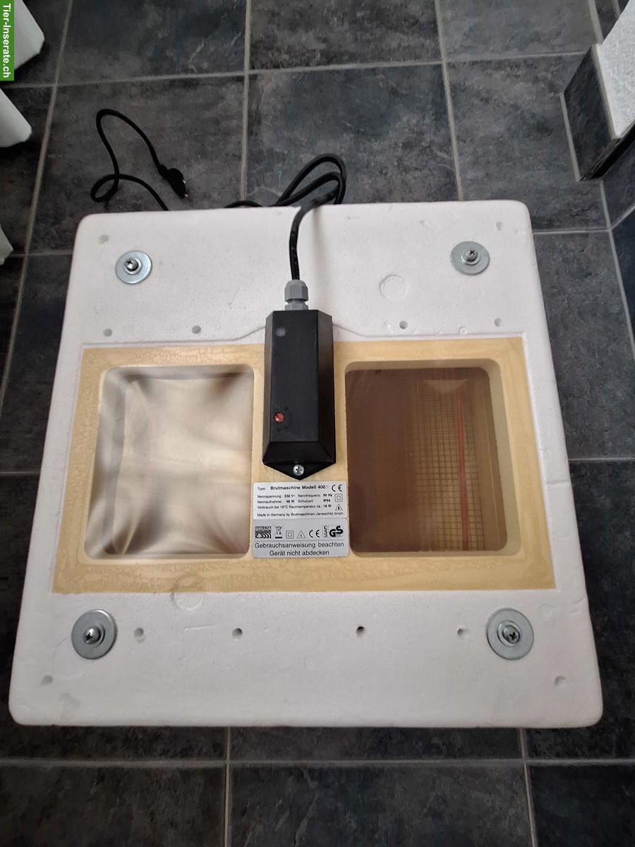 Bild 2: Brutmaschine / Inkubator Bruja Modell 400