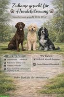 Gewerberaum gesucht für Hundetagesbetreuung