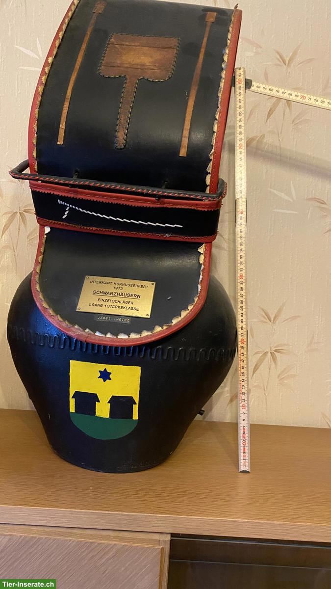 Bild 2: Treicheln ungebraucht zu verkaufen