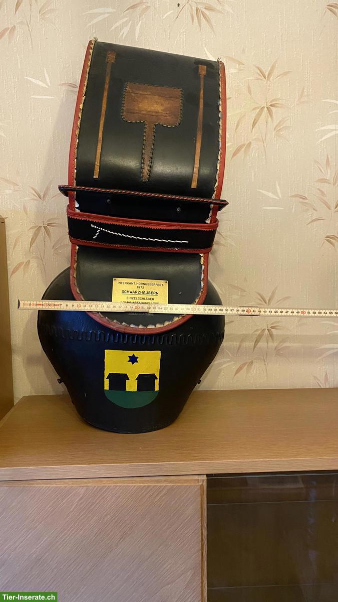 Bild 3: Treicheln ungebraucht zu verkaufen