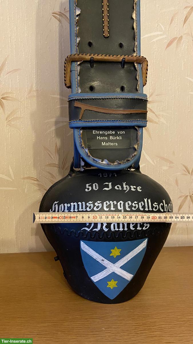 Bild 5: Treicheln ungebraucht zu verkaufen