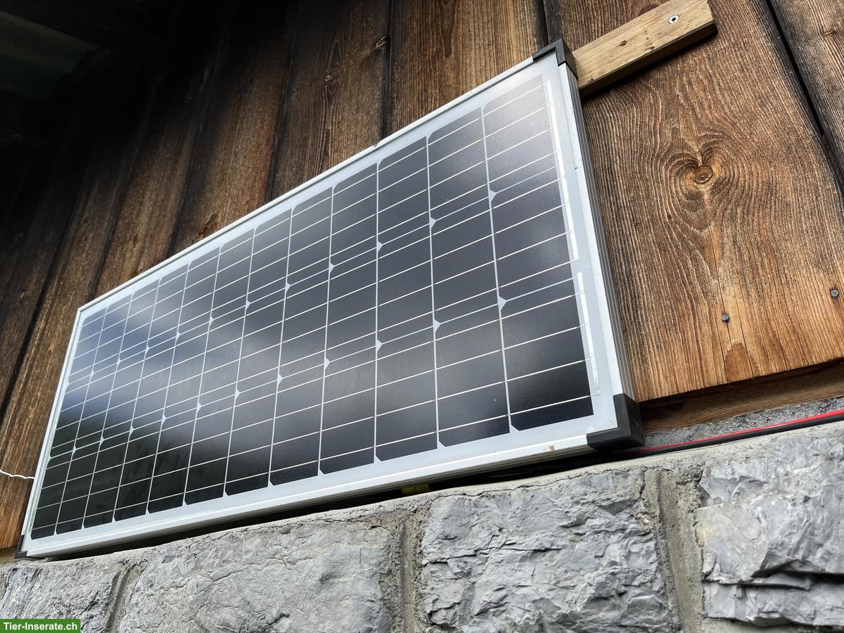 Bild 7: Zeitgesteuerte Heukiste zu verkaufen