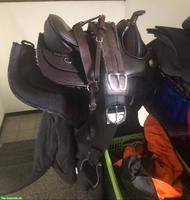 Baumloser Sattel, Barefoot Arizona zu verkaufen