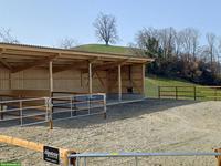 Pferde Offenstall in der Stadt St. Gallen, aber ganz im Grünen!