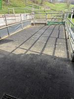 XXL-Auslaufbox / Sebstversorger in Muhen im Aargau