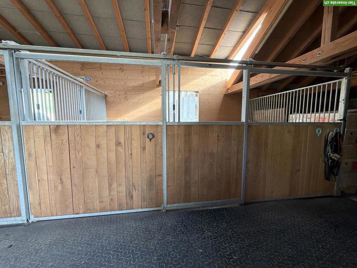 Bild 2: XXL-Auslaufbox / Sebstversorger in Muhen im Aargau