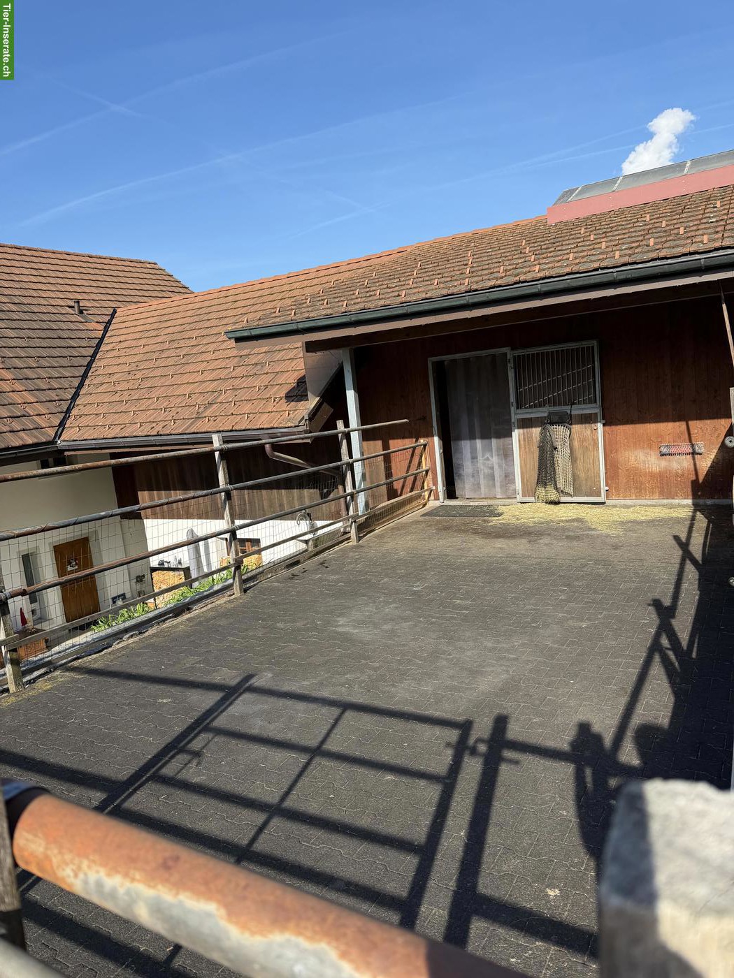 Bild 4: XXL-Auslaufbox / Selbstversorger in Muhen im Aargau