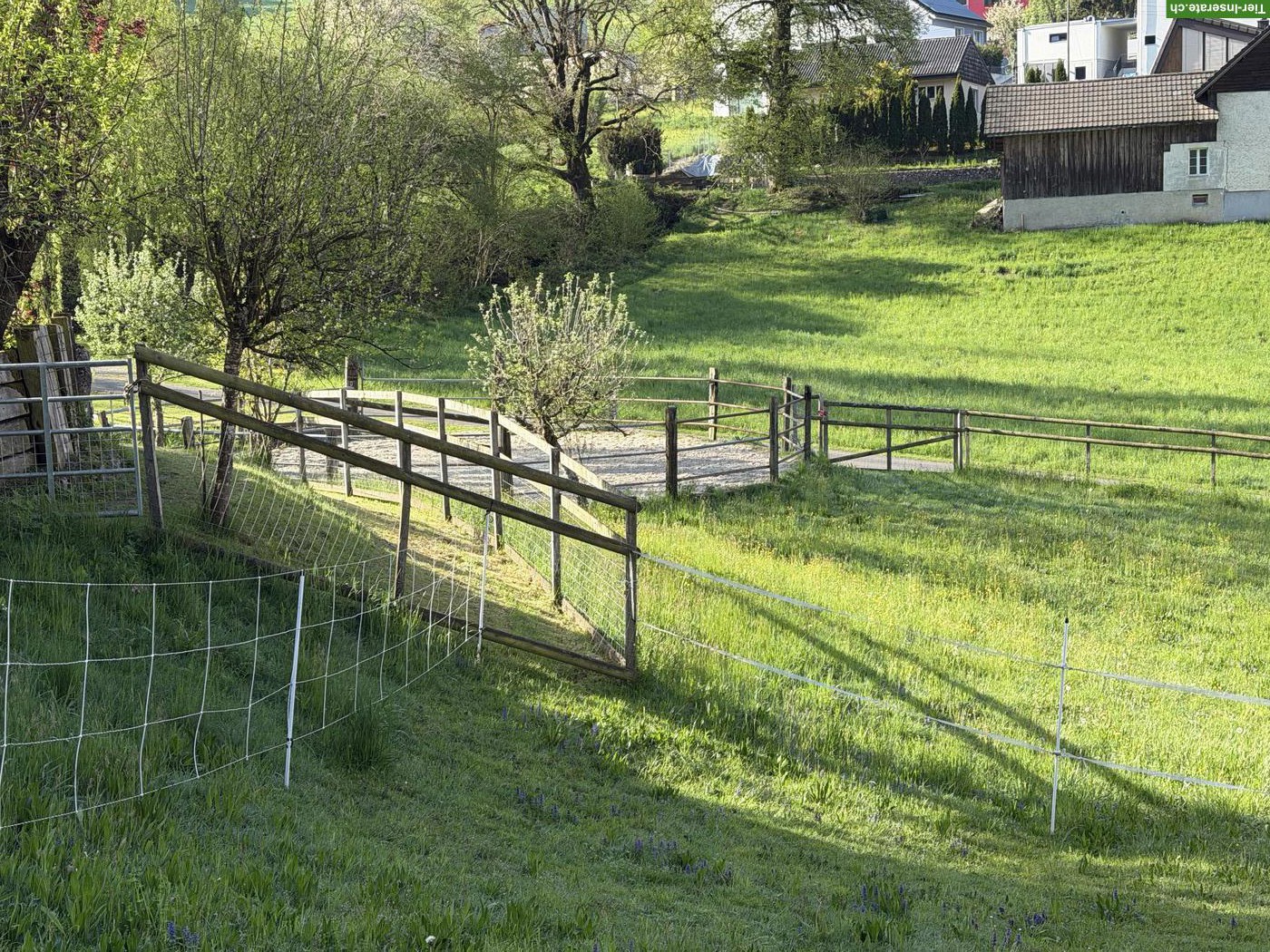 Bild 5: XXL-Auslaufbox / Selbstversorger in Muhen im Aargau