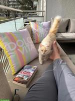 9-jährige Heilige Birma Kätzin schweren Herzens abzugeben