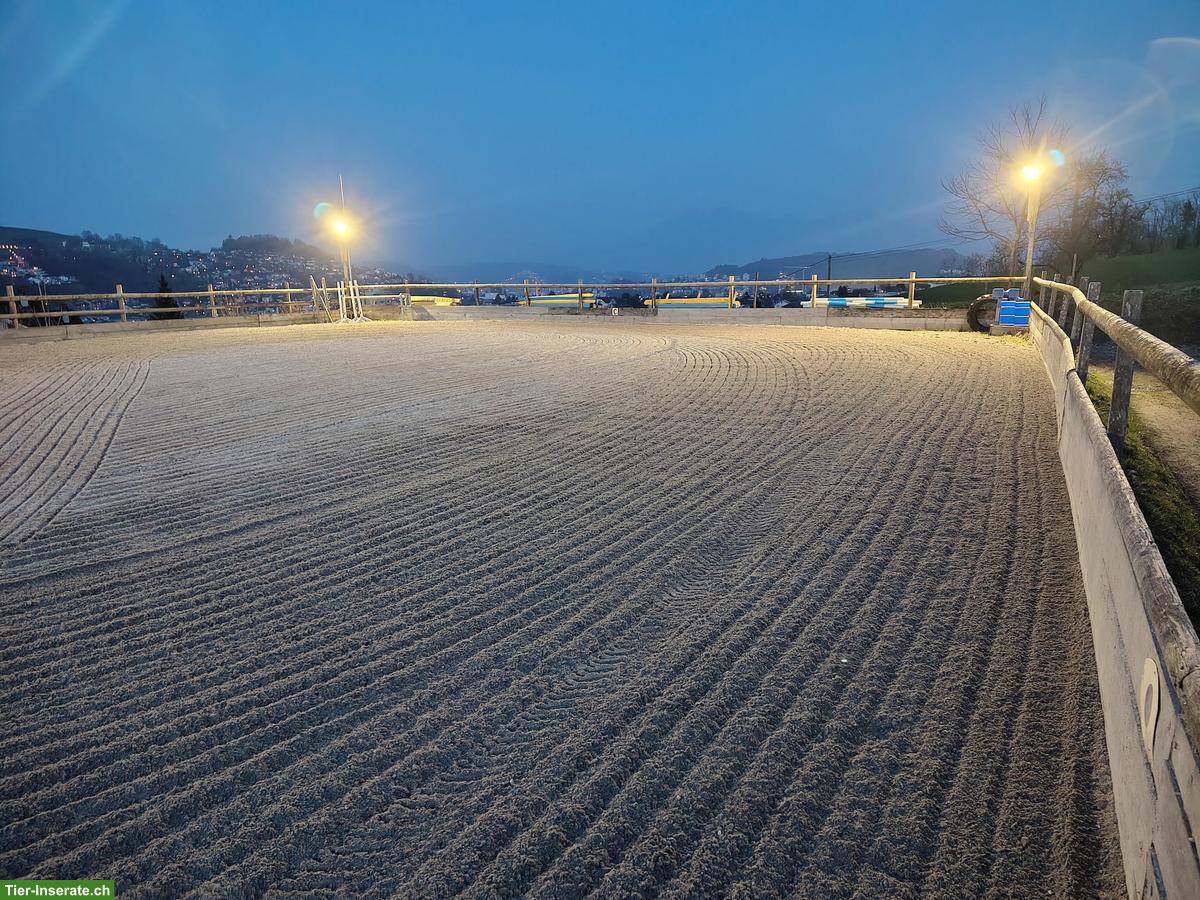 Bild 7: Freie 🐴 Boxe in Pferdepension in Kriens LU