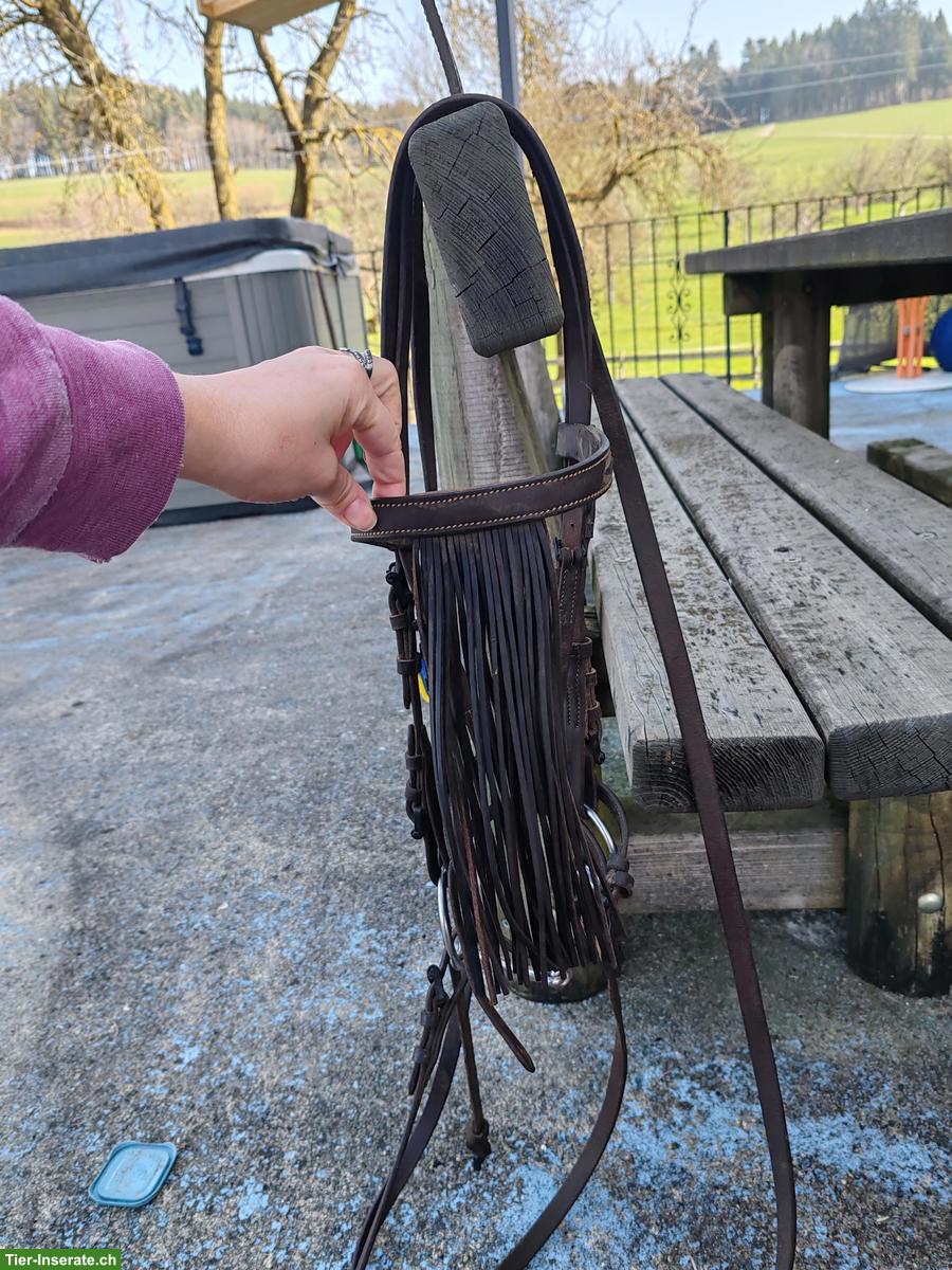 Zaum mit Trense, Gr. Warmblut